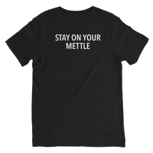 Load image into Gallery viewer, Unisex Short Sleeve V-Neck T-Shirt